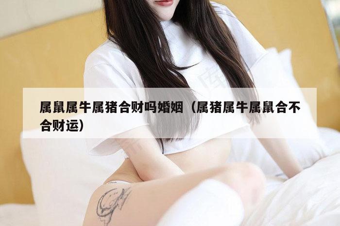属鼠属牛属猪合财吗婚姻（属猪属牛属鼠合不合财运）